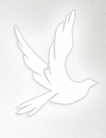 Rodger Saum Obituary
